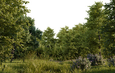 Obraz premium Lush forest scene, sunlight filtering through trees. Tranquil woodland path