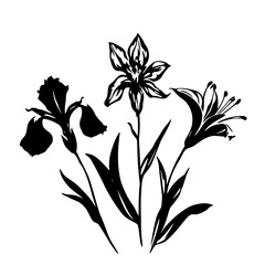 White-isolated lily of the valley flower vector with vintage black branch ornament illustration