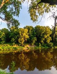 Lush forest reflected in a calm river