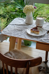 pieces of cottage cheese casserole. cheesecake 