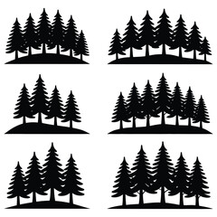 Obraz premium Black pine trees on white background evergreen trees