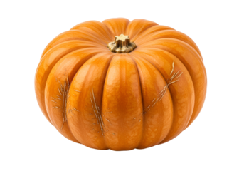 A single, whole pumpkin displays its vibrant orange hue against a black backdrop.