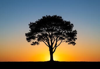 Obraz premium Silhouette of a majestic tree against a vibrant sunset sky, a symbol of nature and tranquility