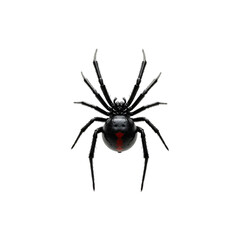 Creepy Black Widow Spider Prop For Haunted House Deorations