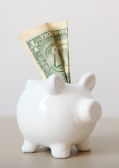 piggy piggy bank and gold coins on a colored background.. Vertical photo format