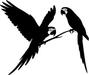 Obraz premium Macaw silhouette, Macaw svg, Macaw parrot silhouette, Parrot svg, Parrot silhouette, Flying macaw silhouette, Flying macaw 