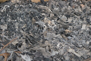 Charred Leaf Remains: A Textured Study in Grayscale