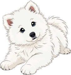 samoyed puppy lying down fluffy vector.
