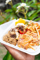 Vibrant Hawaiian poke plate with spicy ahi, salmon, and kalua pig held outdoors by a Black man’s hand, celebrating island flavors and cultural food diversity in natural light.