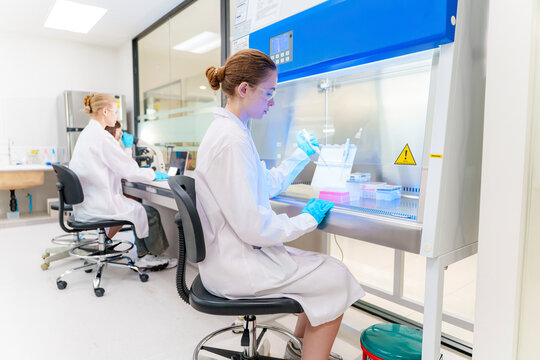Scientists conduct research in a modern laboratory on a weekday morning