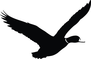 Flying duck silhouette vector, mallard bird in flight, wild waterfowl icon, black isolated duck illustration on white background design