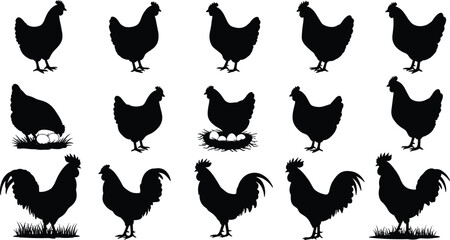 Silhouette set of chickens, hens, and roosters, nesting with eggs, poultry farm animals collection, isolated black vector illustration