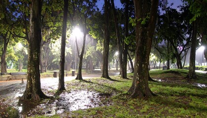 Park at night after rain