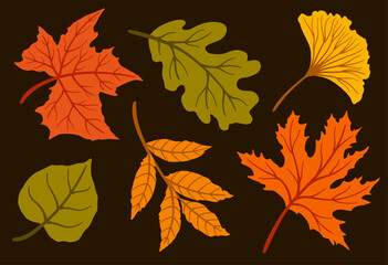 Autumn vintage leaves collection with maple, oak, ginkgo and ash in warm orange, yellow and green colors. Seasonal foliage set. Fall season, harvest time, forest and natural elements. Dark background