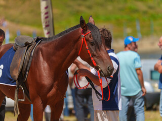 Obraz premium Equestrian Scene with People and Spectators in Background