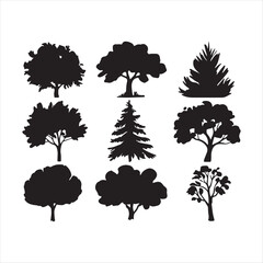 Various tree vectors. Forest and nature concept. Collection of different tree symbols. Education and training poster design. Vector drawn for plant and tree presentation.