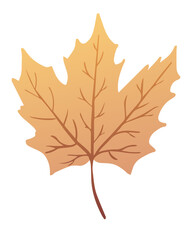 Vector autumn leaf isolated on white background