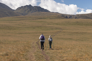 Two climbers go to the mountains through a green meadow.