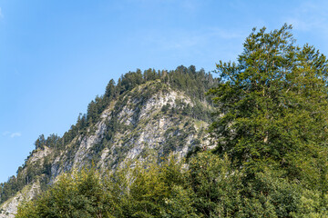 Scenic mountain landscape with lush trees and clear blue sky showcasing nature's beauty in a serene environment