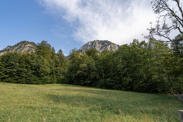 Serene green meadow surrounded by mountains and trees on a clear day in an alpine region