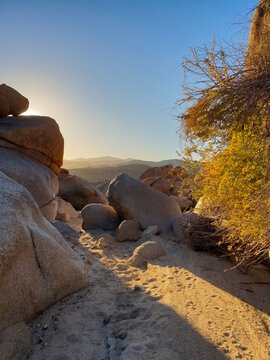 Golden Desert Landscape with Sunlit Boulders, Sandy Terrain, and Vibrant Vegetation under Clear Blue Sky