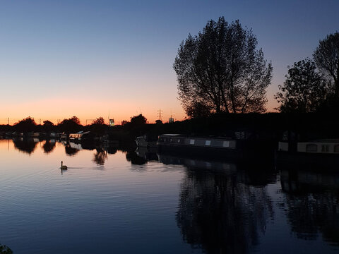 Tranquil Canal at Dusk with Houseboats, Silhouette Trees, Swan, and Vibrant Evening Sky Reflected in Calm Water