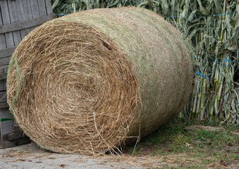 close up on wrapped round hay bales in the farm
