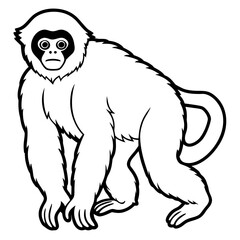 Silvery gibbon line art vector