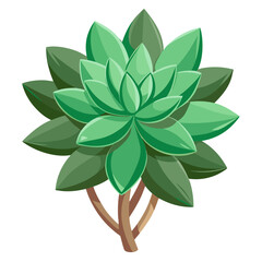 sedum angelina flower vector isolated on white