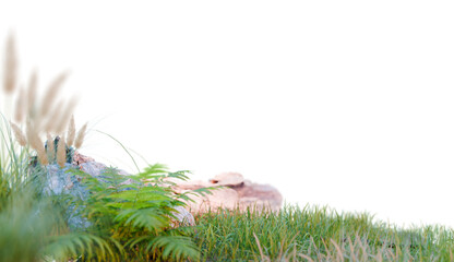 grass row PNG transparent background, 3d illustration rendering 