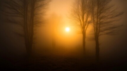 Golden hour sunrise in foggy forest landscape nature photography scenic view of trees and sunlight
