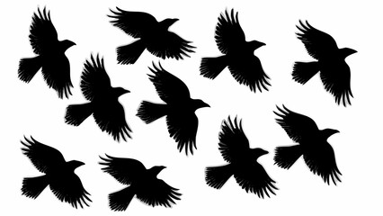 A group of black ravens are flying in different directions against a white color background in the sky