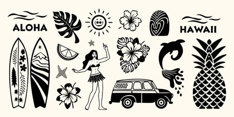 Hawaiian aloha lifestyle collection with surfboards pineapple hula dancer and tropical elements © Dibyendu