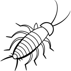 Obraz premium Silverfish line art vector