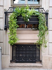 window with flowers in the old town