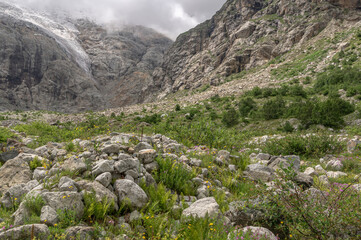View of the glacier at the top of the mountain, covered with clouds. Melting glacial water flows down from the top of the mountain, forming waterfalls. Flowers in the highlands near the glacier.