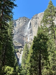 Scenic view of Upper Yosemite Falls cascading down the granite cliffs with trees in Yosemite National Park, California, USA.
