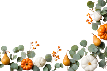 Autumn floral frame, web banner. Garland of berry eualyptus leaves, branches, ear fruit, orange and whit pumpkins isolated on whit table background. Fall, Tanksgiving design. Flat la, top view.