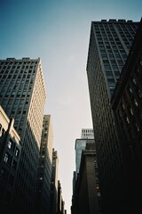tall city buildings against clear blue sky perspective view