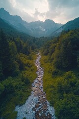 Aerial view of a winding stream through a lush green valley nestled between high mountains