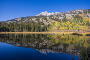 Fototapeta premium Beautiful Scenic Landscape in Grand Teton National Park Wyoming in Autumn