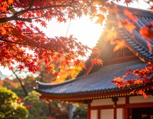 Cinematic Autumn Scene of Red Maple Trees and Traditional Japanese Temple in Soft Sunlight