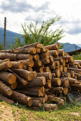 A large pile of freshly cut logs is stacked outdoors, with mountains, green foliage, and a cloudy...