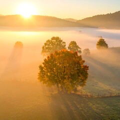 Sunrise over a misty autumn field
