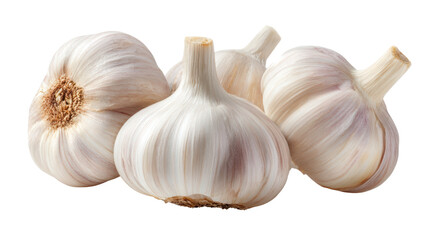 Fresh garlic bulbs on a white isolated background, perfect for culinary use and healthy cooking.