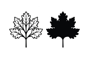Fototapeta premium black and white oak tree leaves in outline and silhouette on white background