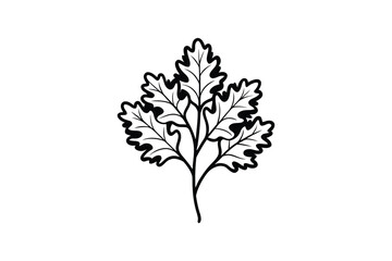 Fototapeta premium A black and white illustration of an oak leaf branch with lobed leaves silhouette