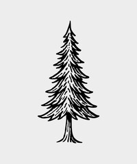 Hand drawn christmas illustration collection - Pine tree