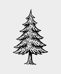 Hand drawn christmas illustration collection - Pine tree