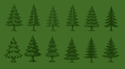 Hand drawn christmas illustration collection - Pine tree